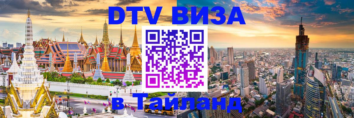 Оформление DTV визы под ключ: стоимость и тарифы, только загранпаспорт - 